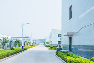 自公司建设以来，，，，以振兴和生长我国贵金属催化剂和催化工艺为己任，，，，已研究、开发出了活性炭负载，，，，氧化物负载，，，，有机物负载贵金属催化剂，，，，均相催化剂，，，，手性催化剂，，，，专用催化剂等上百种催化剂，，，，以及一百多种催化合成/反应工艺手艺。。。。